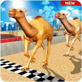 Free play online Camel Desert Race Simulator - Animals Racing 3D APK