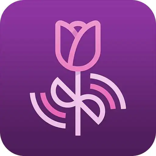 Play Camellia Tree Audio APK