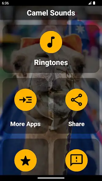 Play Camel Ringtones  and enjoy Camel Ringtones with UptoPlay