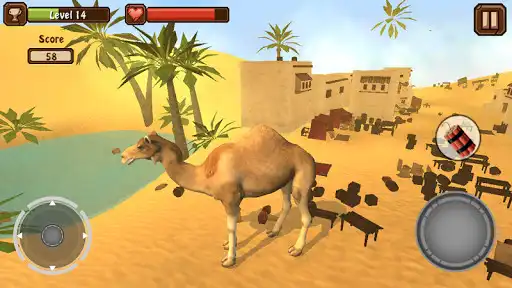 Play Camel Simulator as an online game Camel Simulator with UptoPlay