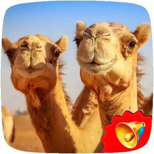 Play Camel Sounds APK Play Camel Sounds APK