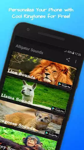 Play Camel Sounds  and enjoy Camel Sounds with UptoPlay