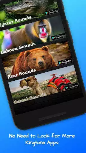 Play Camel Sounds as an online game Camel Sounds with UptoPlay
