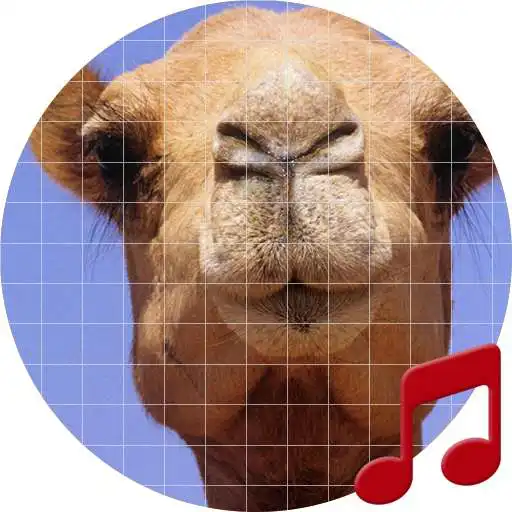 Play Camel Sounds ~ Sboard.pro APK