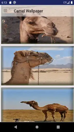 Play Camel Wallpaper and enjoy Camel Wallpaper with UptoPlay Play Camel Wallpaper and enjoy Camel Wallpaper with UptoPlay