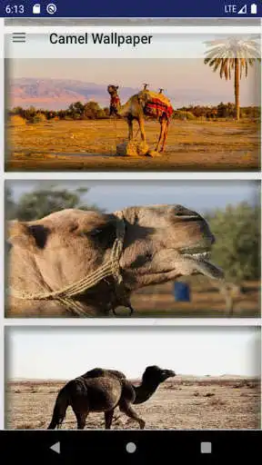 Play Camel Wallpaper as an online game online Camel Wallpaper with UptoPlay Play Camel Wallpaper as an online game Camel Wallpaper with UptoPlay