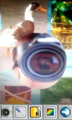 Play Camera DeadlyShot
