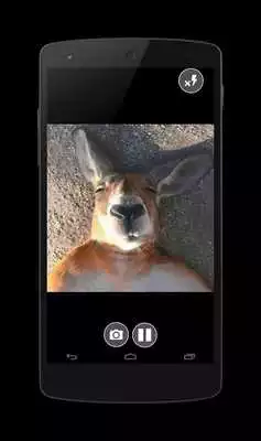 Play Camera Mirror