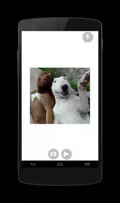 Play Camera Mirror