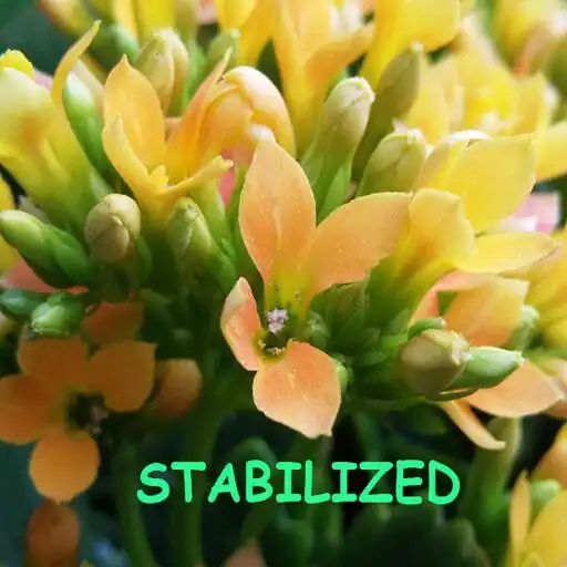 Play Camera Stabilizer Guide APK