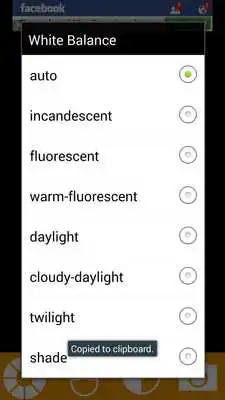 Play Camera Styles