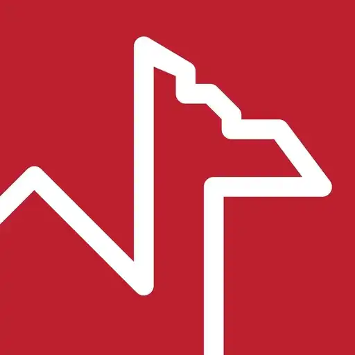 Play CAMEX APK Play CAMEX APK