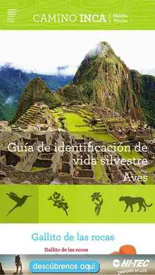 Play Camino Inca (Machu Picchu)