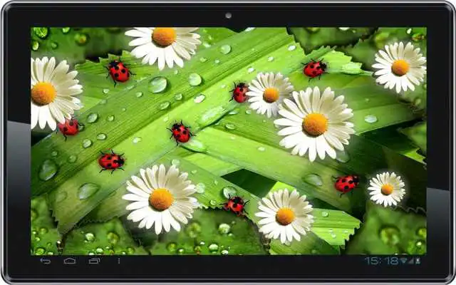 Play Camomiles n Ladybugs LWP