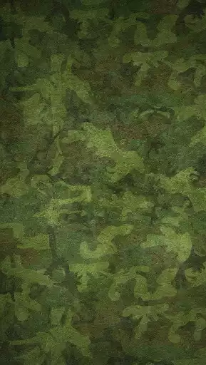 Play Camouflage Wallpapers