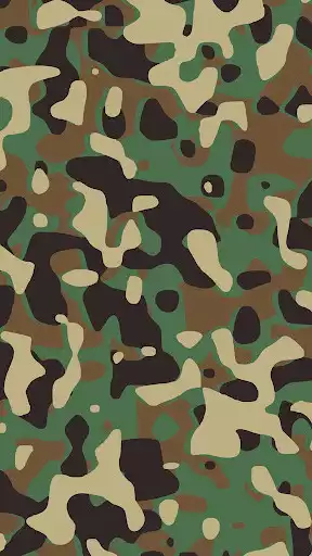 Play Camouflage Wallpapers
