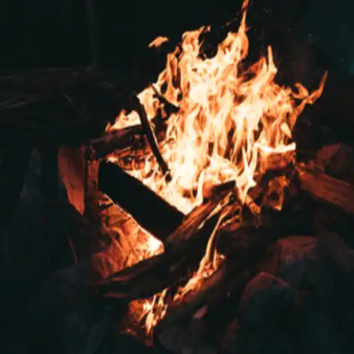 Play Camp fire Wallpaper APK