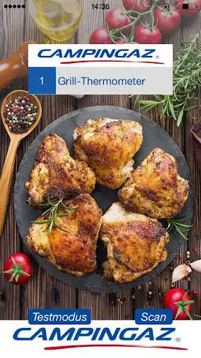 Play Campingaz Grill-Thermometer as an online game Campingaz Grill-Thermometer with UptoPlay