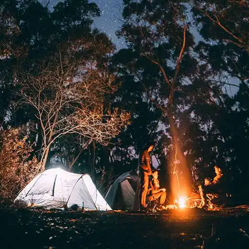 Play Camp Wallpaper HD, GIF APK Play Camp Wallpaper HD, GIF APK