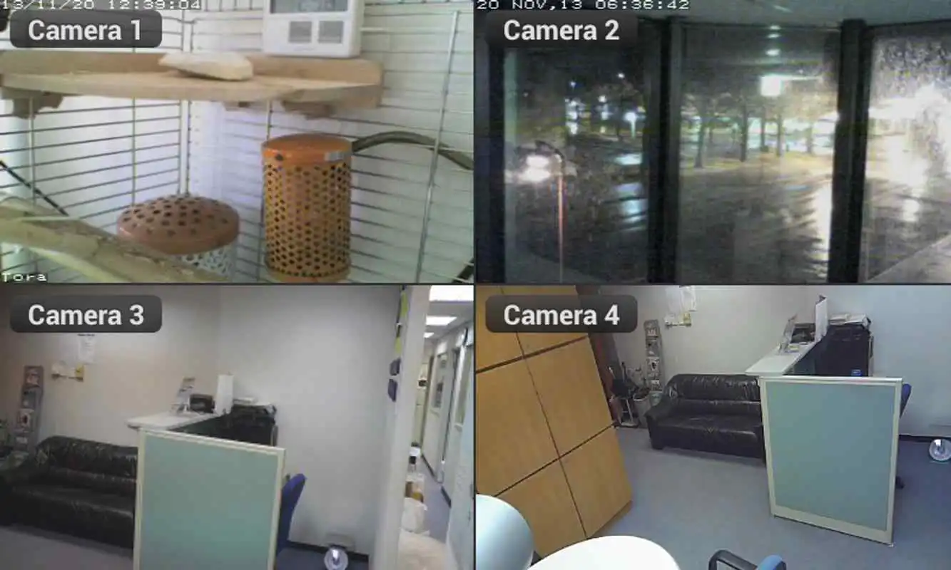 Play Cam Viewer for EyeSight