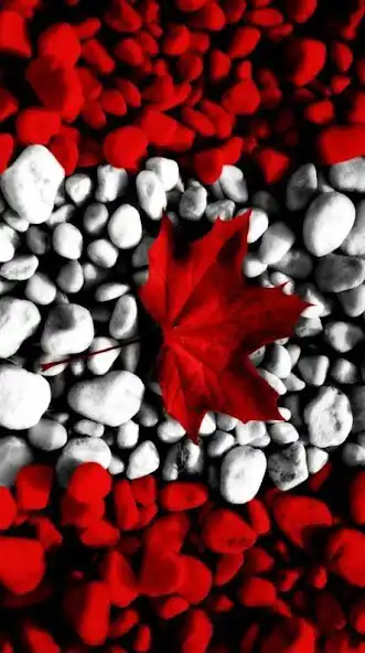 Play Canada Flag Wallpapers HD  and enjoy Canada Flag Wallpapers HD with UptoPlay