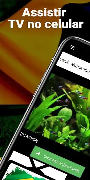 Play CanaisDoBrasil - TV online  and enjoy CanaisDoBrasil - TV online with UptoPlay