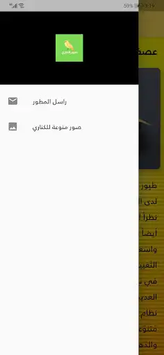 Play Canarias Play Canarias