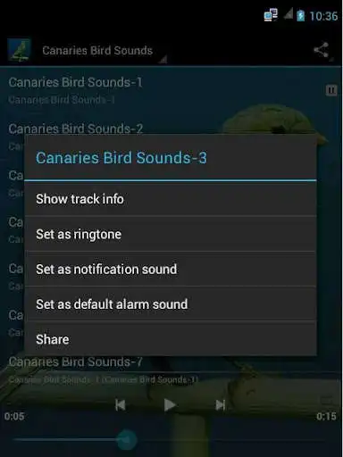 Play Canaries Bird Sounds