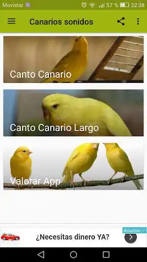 Play Canarios cantos varios  and enjoy Canarios cantos varios with UptoPlay