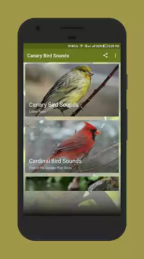 Play Canary Bird Sounds  and enjoy Canary Bird Sounds with UptoPlay