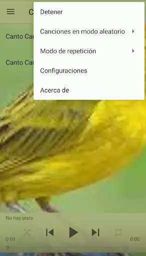 Play canary as an online game canary with UptoPlay