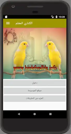 Play canary singing master  and enjoy canary singing master with UptoPlay