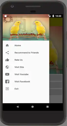 Play canary singing master as an online game canary singing master with UptoPlay