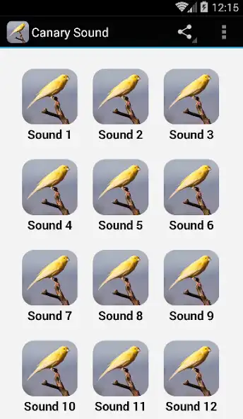 Play Canary Sound as an online game Canary Sound with UptoPlay