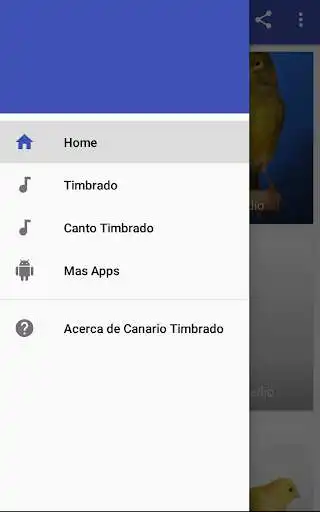 Play Canary Timbrado HD as an online game Canary Timbrado HD with UptoPlay