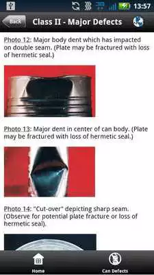 Play Can Defects Guide