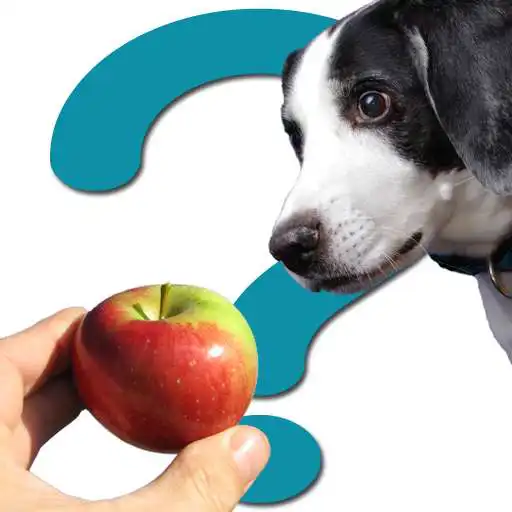 Play Can dogs eat... APK Play Can dogs eat... APK