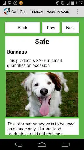Play Can dogs eat... as an online game Can dogs eat... with UptoPlay