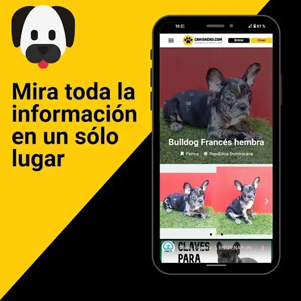 Play Canidaerd - Portal de mascotas as an online game Canidaerd - Portal de mascotas with UptoPlay