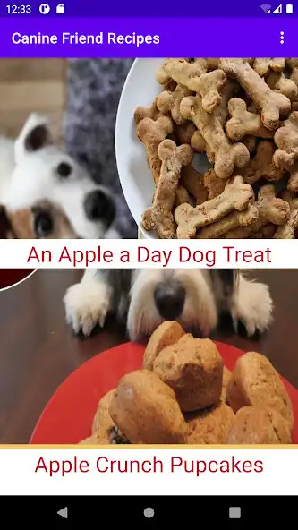 Play Canine Friend Recipes as an online game Canine Friend Recipes with UptoPlay
