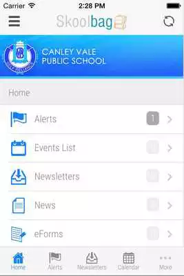 Play Canley Vale Public School