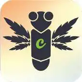 Free play online CannaFly APK Free play online CannaFly APK