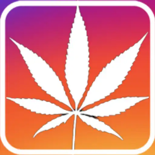 Play CannaGram APK
