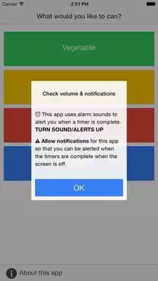 Play Canning Timer  Checklist