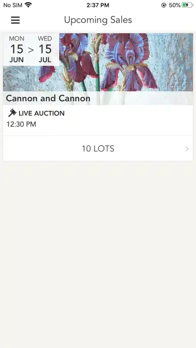 Play Cannons Auctioneers as an online game Cannons Auctioneers with UptoPlay