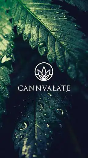 Play cannvalate and enjoy cannvalate with UptoPlay Play cannvalate and enjoy cannvalate with UptoPlay