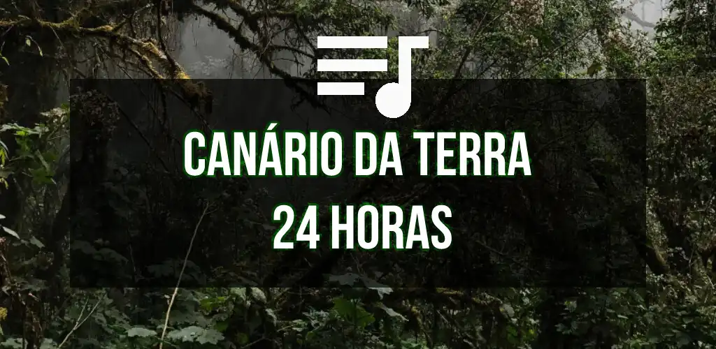 Play Canário da Terra 24 Horas  and enjoy Canário da Terra 24 Horas with UptoPlay