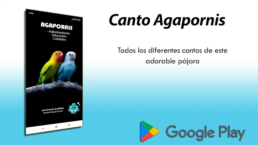Play Canto Agapornis and enjoy Canto Agapornis with UptoPlay Play Canto Agapornis and enjoy Canto Agapornis with UptoPlay