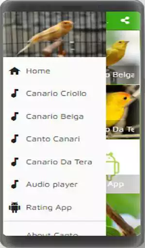 Play Canto  Canario Belga as an online game Canto  Canario Belga with UptoPlay