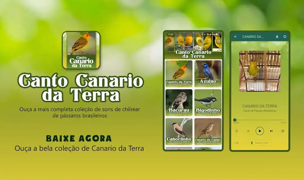 Play Canto Canario da Terra  and enjoy Canto Canario da Terra with UptoPlay